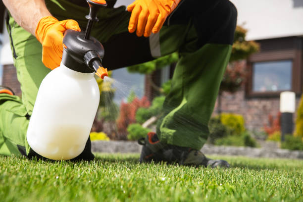 Wasp Removal Services in Pelahatchie, MS