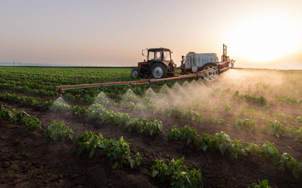 Best Pest Control for Businesses  in Pelahatchie, MS