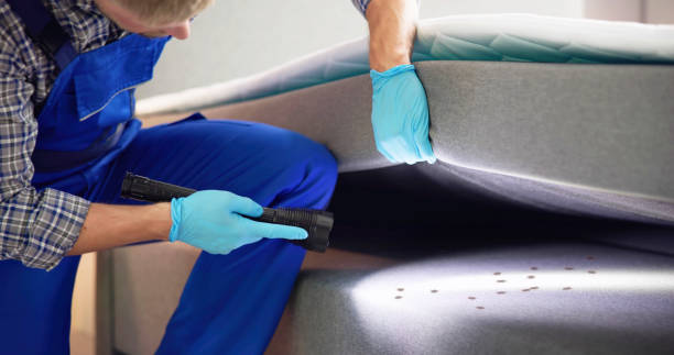 Best Affordable Pest Control Services  in Pelahatchie, MS