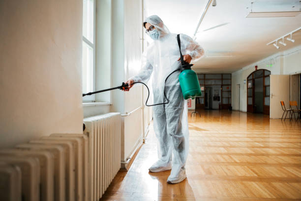 Best Pest Removal Services  in Pelahatchie, MS