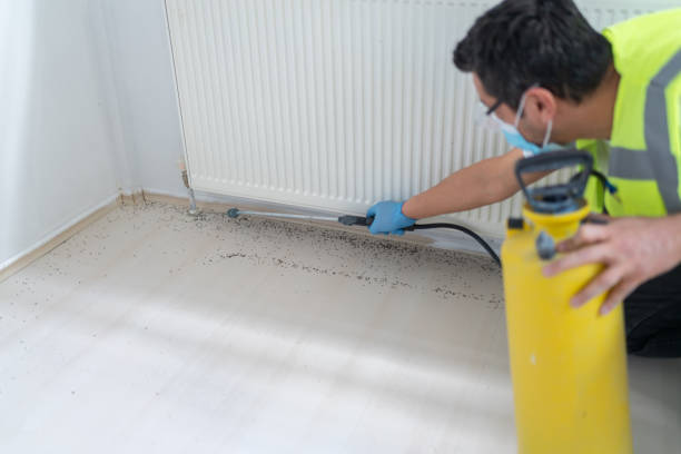 Best Exterminator Services  in Pelahatchie, MS